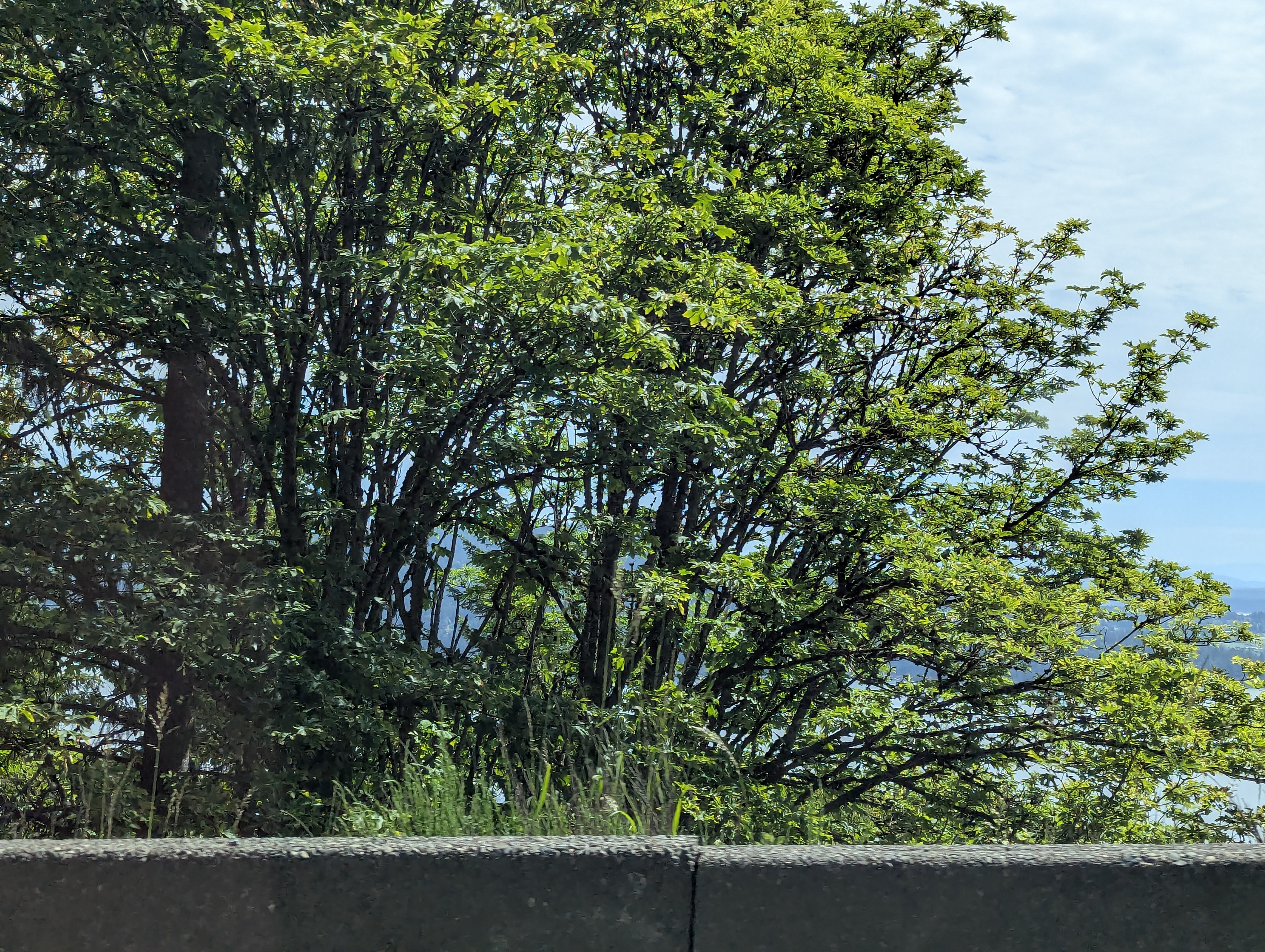 Birthday Trip to Canada, Vancouver Island